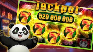 Pengguna baru sedang menikmati panduan lengkap hiburan sports dan casino dengan fitur ramah pemula